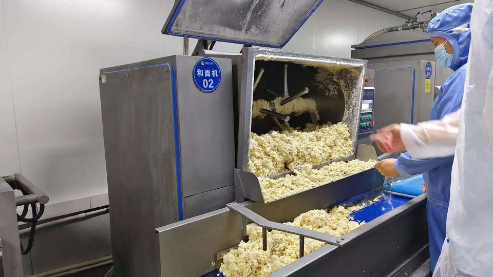 Vacuum-Dough-kneading-machine