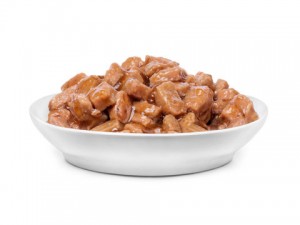 wet pet food